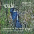 Blue-and-white Swallow (Notiochelidon cyanoleuca) - South America / Ecuador 2019 - 1