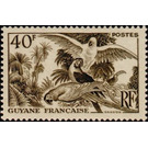 Blue-and-yellow Macaw (Ara ararauna) - South America / French Guiana 1947 - 40