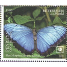 Blue Morpho (Morpho peleides) - Polynesia / Penrhyn 2020 - 5