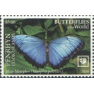 Blue Morpho (Morpho peleides) - Polynesia / Penrhyn 2020 - 5