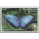 Blue Morpho (Morpho peleides) - Polynesia / Penrhyn 2020 - 5