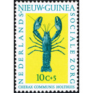 Blue Papuan Freshwater Crayfish (Cherax communis) - Melanesia / Netherlands New Guinea 1962