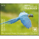 Blue-Throated Macaw - Polynesia / Penrhyn 2019