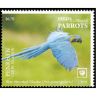 Blue-Throated Macaw - Polynesia / Penrhyn 2019