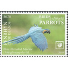Blue-Throated Macaw - Polynesia / Penrhyn 2019 - 6.70