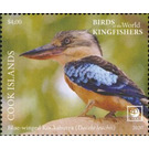 Blue-Winged Kookaburra (Dacelo leachii) - Polynesia / Cook Islands 2020 - 4