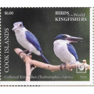 Blue-Winged Kookaburra (Dacelo leachii) - Polynesia / Cook Islands 2020 - 6