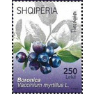 Blueberries - Albania 2017 - 250