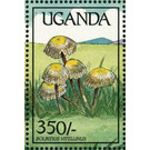 Bolbitius vitellinus - East Africa / Uganda 1989 - 350