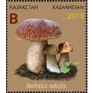 Boletus edulis - Kazakhstan 2019