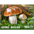 Boletus edulis - West Africa / Guinea-Bissau 2020 - 100