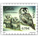 Boreal Owl (Aegolius funereus) - Lithuania 2020 - 0.75