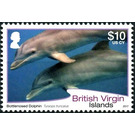 Bottlenosed Dolphin - Caribbean / British Virgin Islands 2017 - 10