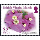 Bougainvillea - Caribbean / British Virgin Islands 2019 - 2