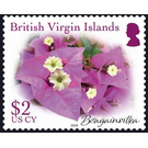 Bougainvillea - Caribbean / British Virgin Islands 2019 - 2