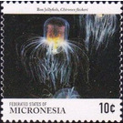 Box jellyfish - Micronesia / Micronesia, Federated States 2015 - 10