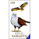 Brahminy Kite (Haliastur indus) - Melanesia / Vanuatu 2019 - 150