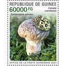Brain Puffball (Calvatia craniiformis) - West Africa / Guinea 2021