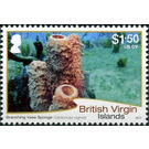 Branching Vase Sponge - Caribbean / British Virgin Islands 2017 - 1.50