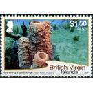 Branching Vase Sponge - Caribbean / British Virgin Islands 2017 - 1.50