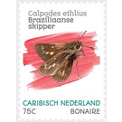 Brazilian Skipper (Calpodes ethlius) - Caribbean / Bonaire 2020 - 75