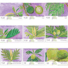 Breadfruit (Artocarpus altilis) (2020) - Melanesia / Papua and New Guinea / Papua New Guinea 2020 Set