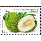 Breadfruit - Cocos (Keeling) Islands 2017 - 2