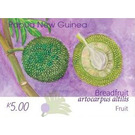 Breadfruit Fruit - Melanesia / Papua and New Guinea / Papua New Guinea 2020 - 5