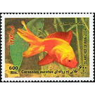 Breed Form of Goldfish (Carassius auratus auratus) - Iran 2004 - 600