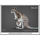 Bridled Nail-Tailed Wallaby (Onychogalea fraenata) - UNO Vienna 2021 - 0.90