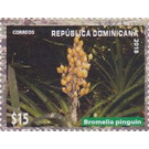 Bromelia pinguin - Caribbean / Dominican Republic 2019 - 15