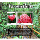 Bromeliads - Caribbean / Saint Vincent and The Grenadines 2020