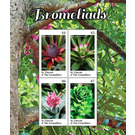 Bromeliads - Caribbean / Saint Vincent and The Grenadines 2020