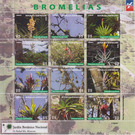 Bromelias - Caribbean / Dominican Republic 2019