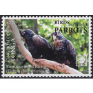 Bronze-Winged Parrot (Pionus chalcopterus) - Polynesia / Tonga 2020