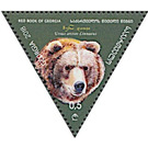 Brown bear (Ursus arctos Linnaeus) - Georgia 2018 - 0.50