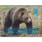 Brown Bear (Ursus arctos) - Macedonia / North Macedonia 2021 - 50