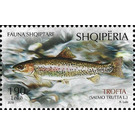 Brown Trout (Salmo trutta fario) - Albania 2018 - 190