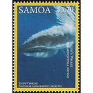 Bryde's Whale (Balaenoptera brydei) - Polynesia / Samoa 2016 - 3.70