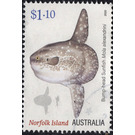 Bump-head Sunfish (Mola alexandrini) - Norfolk Island 2020