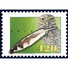 Burrowing Owl (Athene cunicularia arubensis) - Caribbean / Aruba 2019 - 410