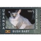 Bushbaby/Galago (Galago sp.) - East Africa / Uganda 2017 - 100