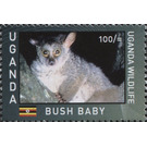 Bushbaby/Galago (Galago sp.) - East Africa / Uganda 2017 - 100