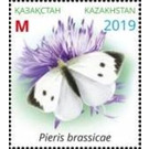 Butterflies of Kazakhstan - Kazakhstan 2019