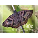 Butterflies of Sint Maarten - Caribbean / Sint Maarten 2019 - 190