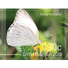 Butterflies of Sint Maarten - Caribbean / Sint Maarten 2019 - 190