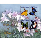 Butterflies - South Africa / Lesotho 2007