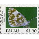 Cabbage White (Pieris rapae) - Micronesia / Palau 2020
