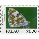 Cabbage White (Pieris rapae) - Micronesia / Palau 2020