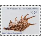 Cabrit's murex - Caribbean / Saint Vincent and The Grenadines 2016 - 3.25